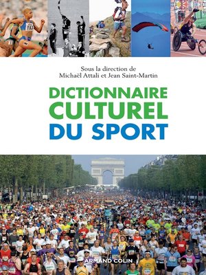 cover image of Dictionnaire culturel du sport